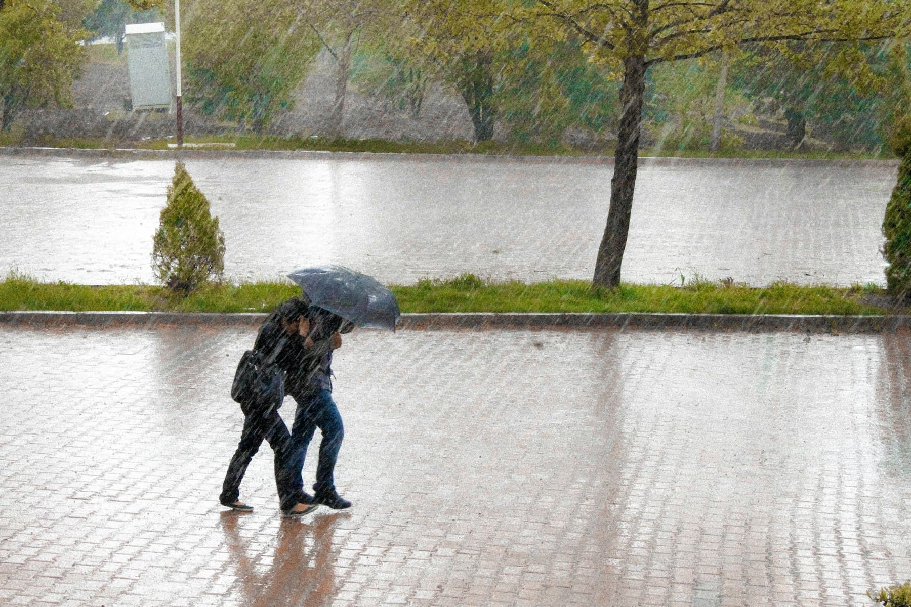 Two people sharing an umbrella on a rain-soaked street